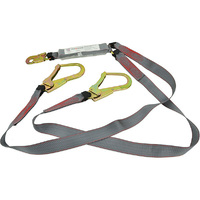 Maxisafe Double Lanyard w/ Snaphook & Scaffold Hook ? 2m