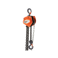 Chain Block Commercial 2 Tonne Capacity 3m Long