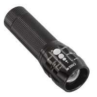 300 Lumens Torch