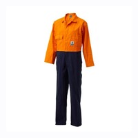 BASIX T Top Overalls